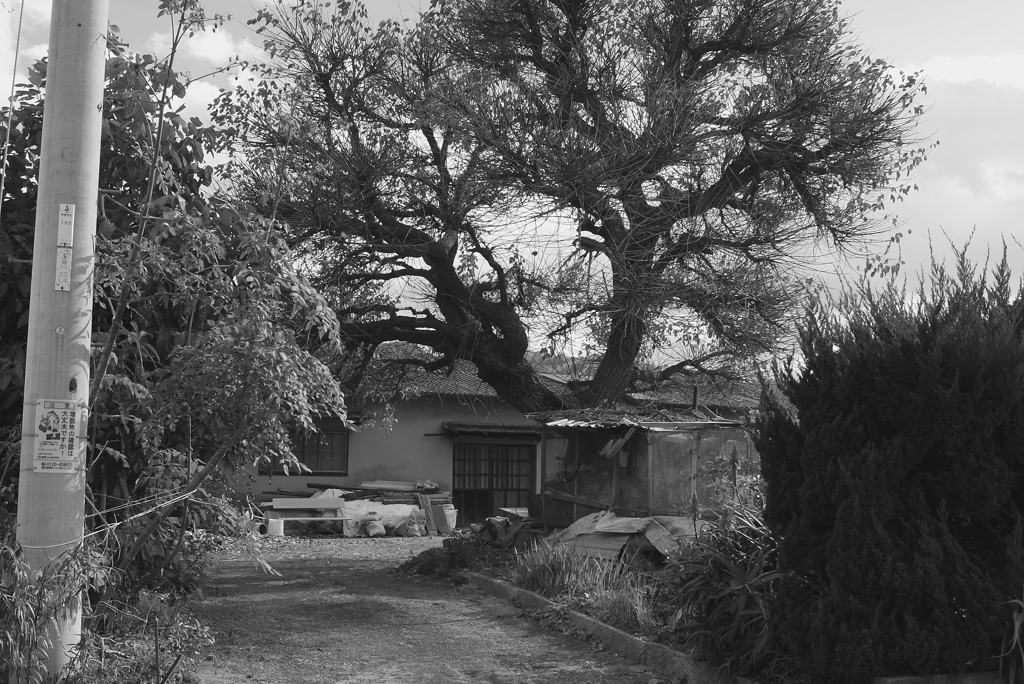 浅海（あさなみ）に行く　IMG_6087 s m z