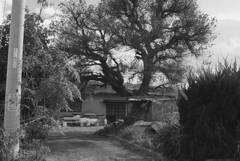 浅海（あさなみ）に行く　IMG_6087 s m z