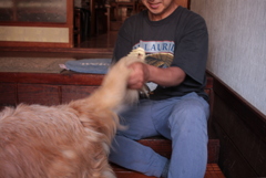 毛をといてもらう