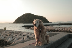 みゅうちゃんと散歩