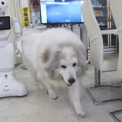 楽屋から出てきてくれたココさん