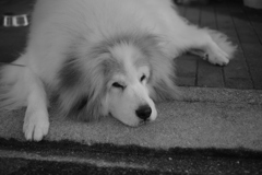 朝＠2018-12-14金曜