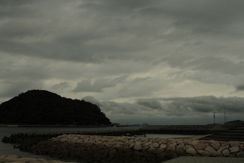 タイフーンイズカミング