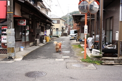 駅から帰る