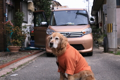 昼休憩から帰ってきたみゅうちゃん