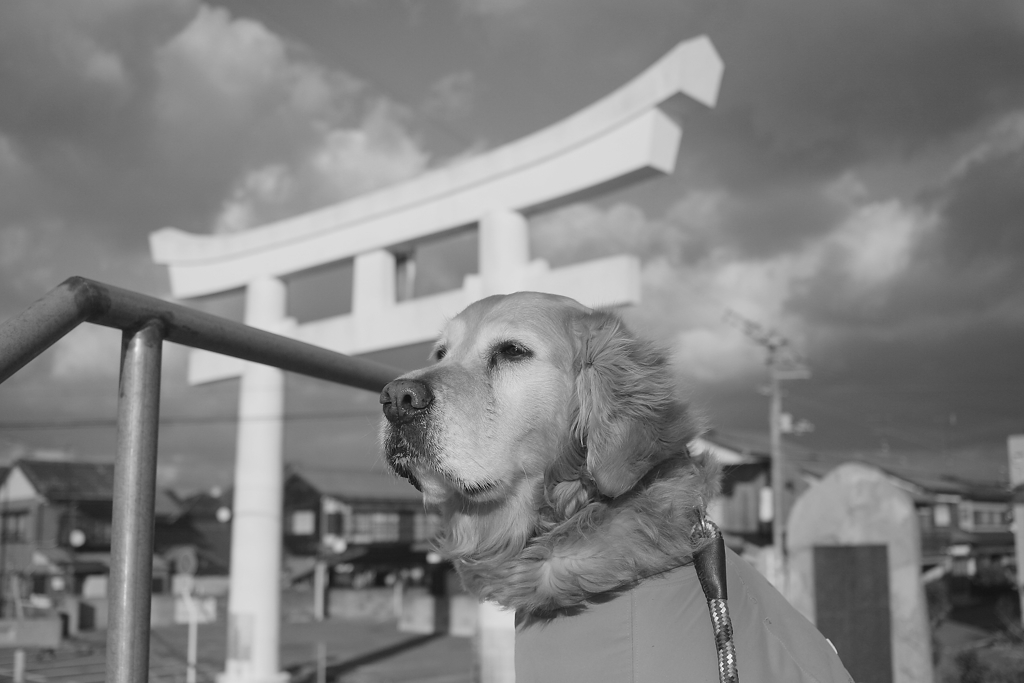 2017-02-11 モノクロ　１