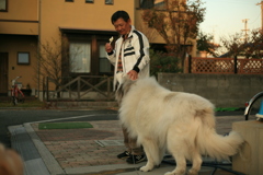 お父さんにアイスクリームをおねだりするココさん