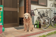 お宿番してるみゅうちゃん