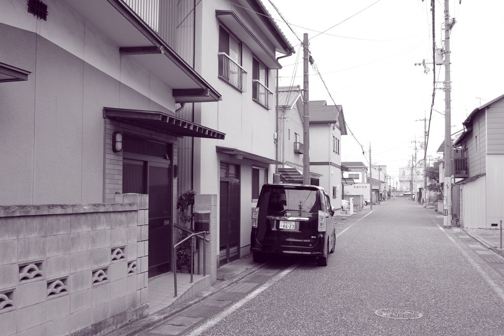 道端に小さな花が咲いている　それを幸せと感じたい