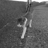 おニューのレンズでモノクロで写すという暴挙