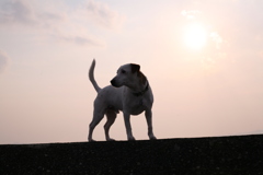 夕方も暇だな～～