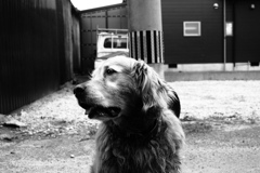 モノクロ＠2019-07-05