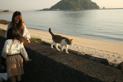 トム君と奥本さん