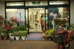 お店番してるココさん