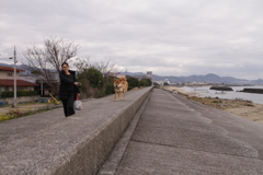 まろちゃん一歳半