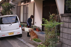 お隣さんに甘えるみゅうちゃん