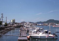 film Superia X-traにて