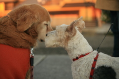 みゅうちゃんとアビィちゃん