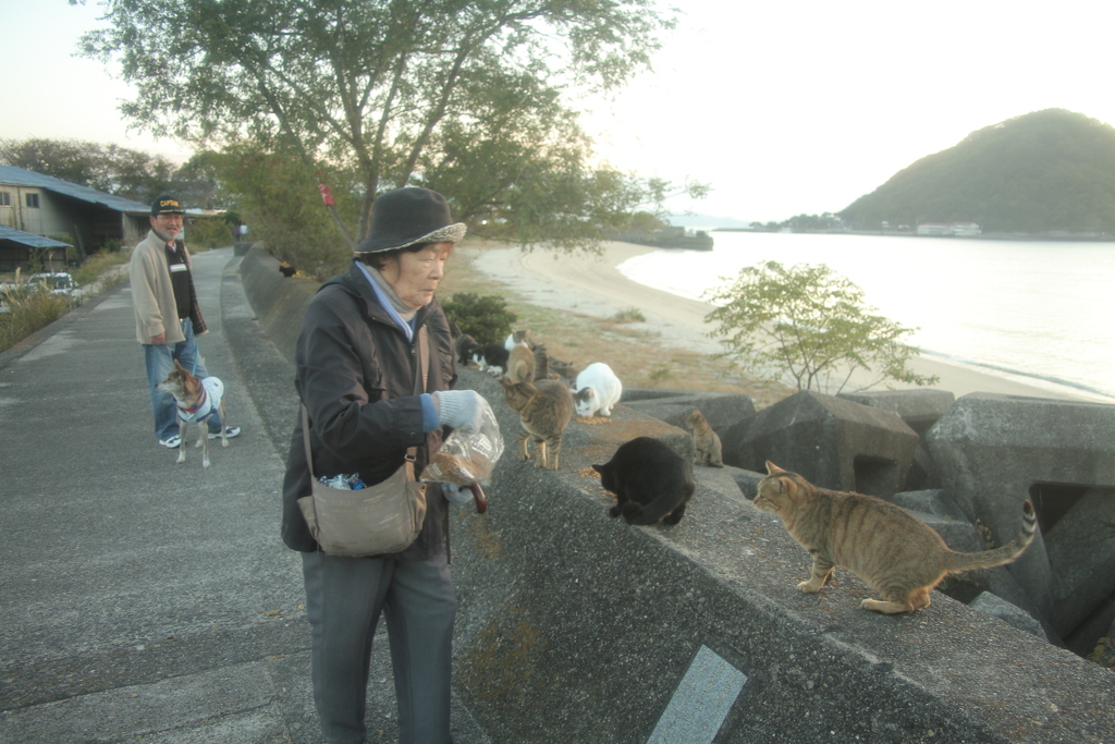＠2020‐11‐05