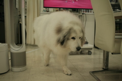 ＠2021‐08‐05