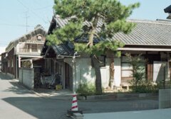 ロモ　カラーネガ100