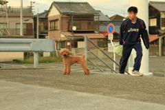 大五郎が散歩中