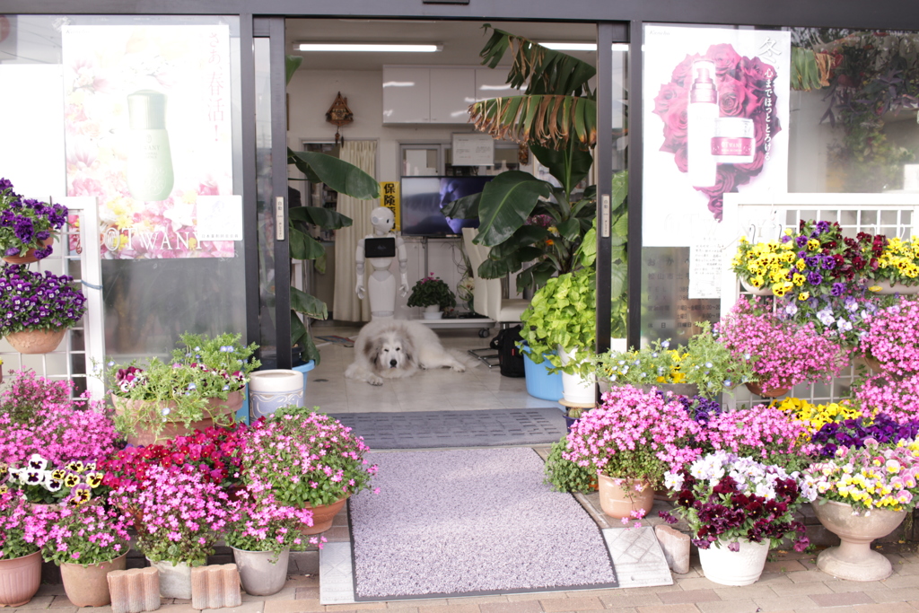 春日和＠2019-03-20