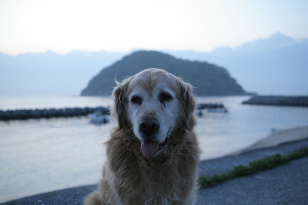 みゅうちゃんと浜でボーっとする