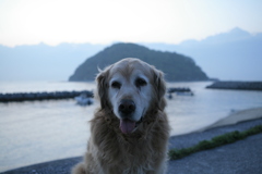 みゅうちゃんと浜でボーっとする