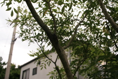 Eos30D全く問題ないですな　!(^^)!