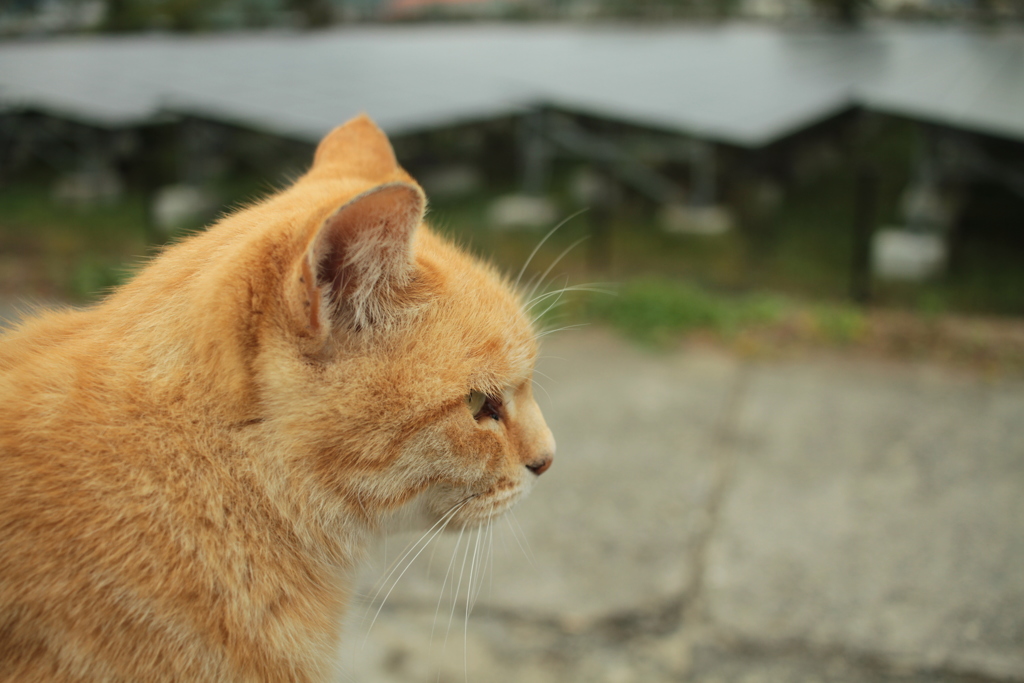 ＠2017-11-08　水曜