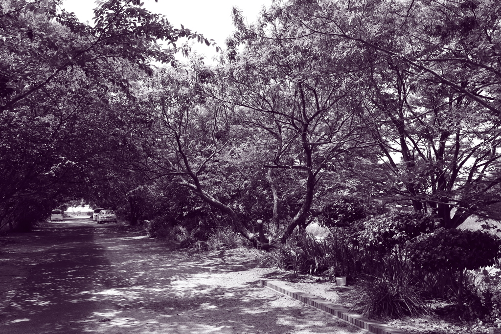 ＠2021‐06‐09