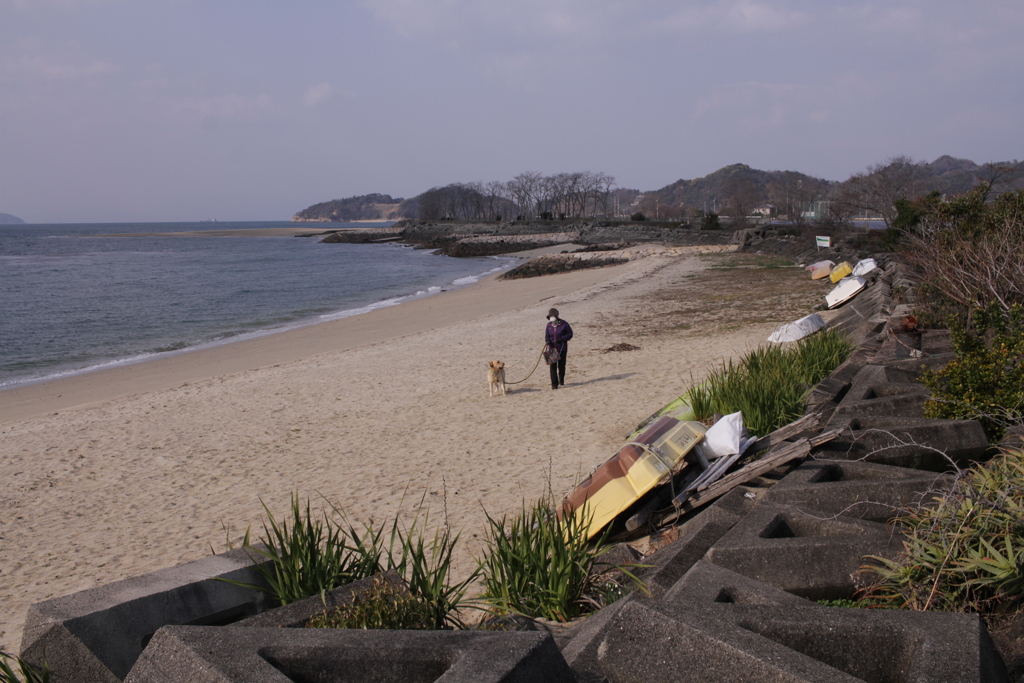 浜を散歩してるサーブ