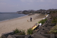 浜を散歩してるサーブ