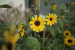 ＠2021‐08‐03