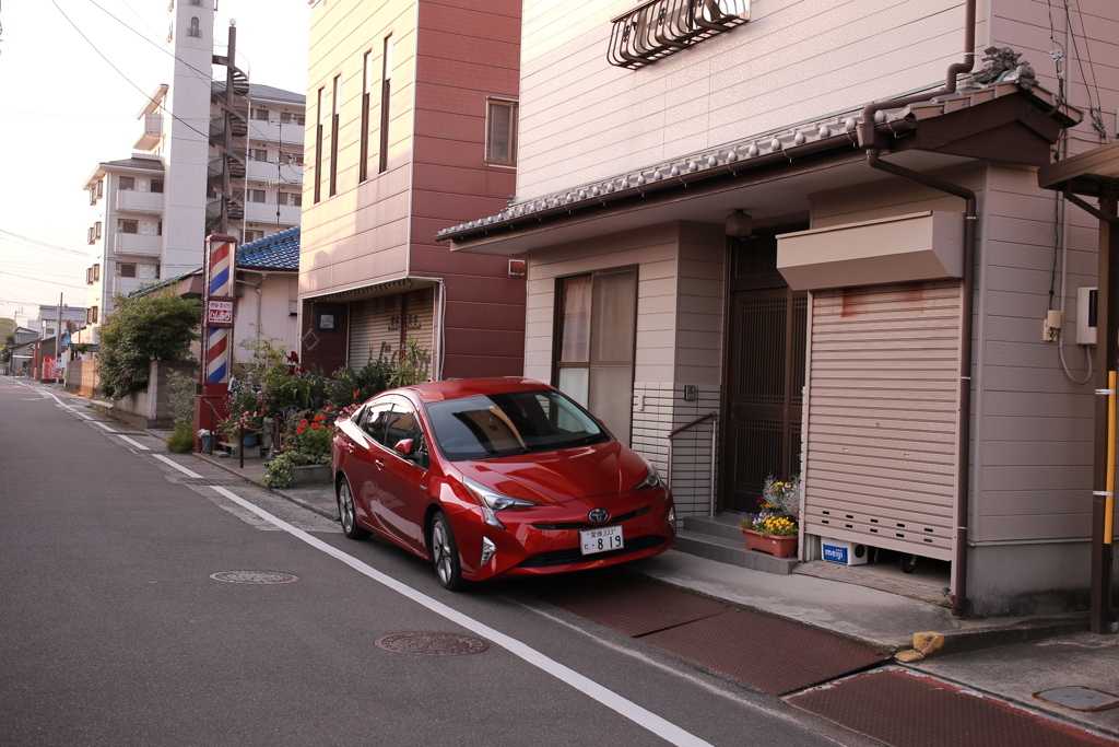 イミフ系朝写真