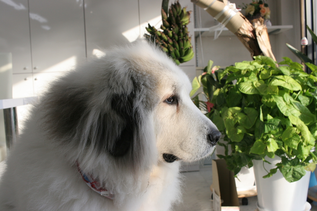 @2018-02-12 建国記念日