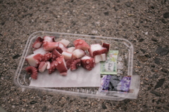 タコ野郎のおやつ　～友食い～