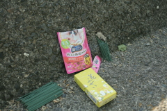 トラちゃん大体二周忌