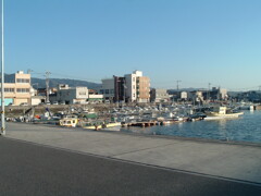 CCD機は写りが優しいな