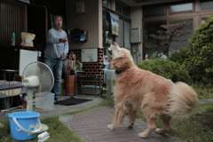 おやつキャッチするみゅうちゃん＠北条水軍ユースホステル