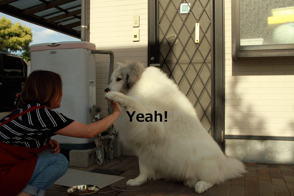 イェイbyココさん