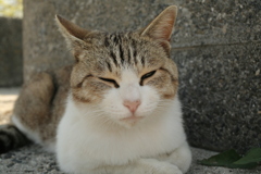 トム君　地面にはいつくばって撮影!(^^)!