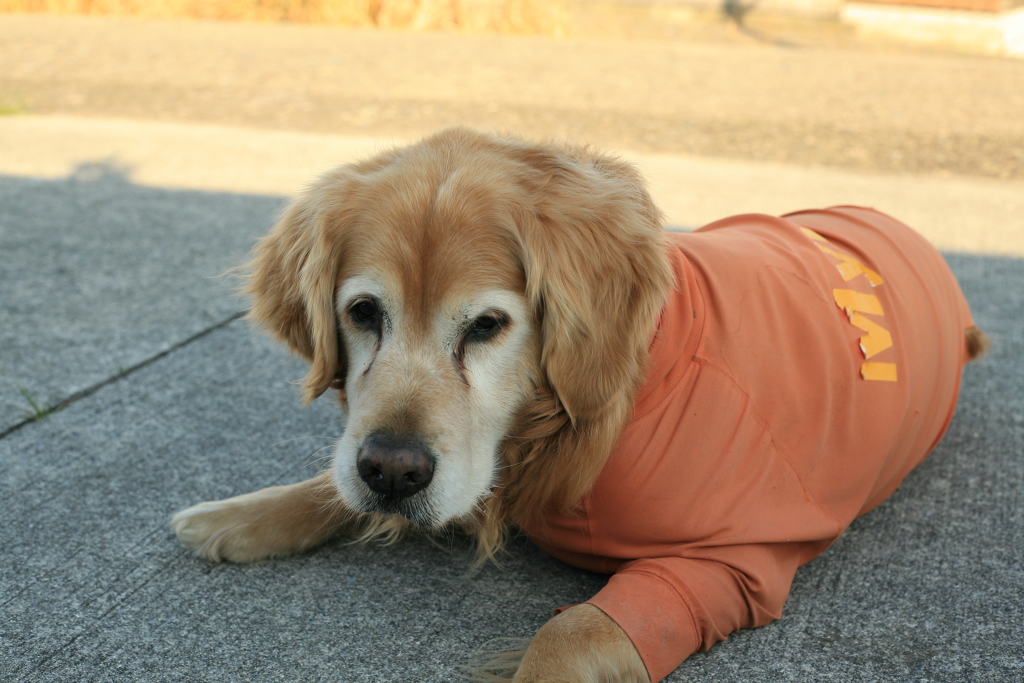 正月もいつも通り!(^^)!