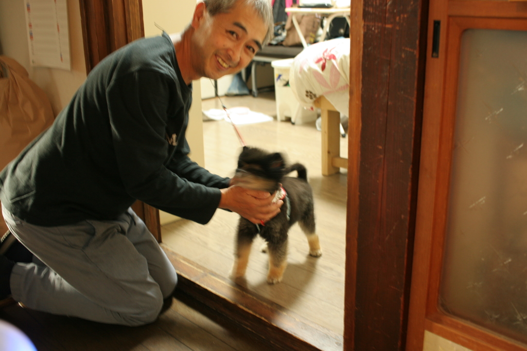 長野から来たポメラニアン