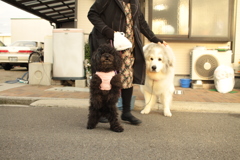 ソウちゃんとココさん