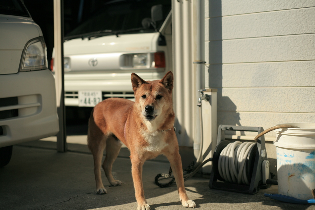 モクちゃんが光合成してる