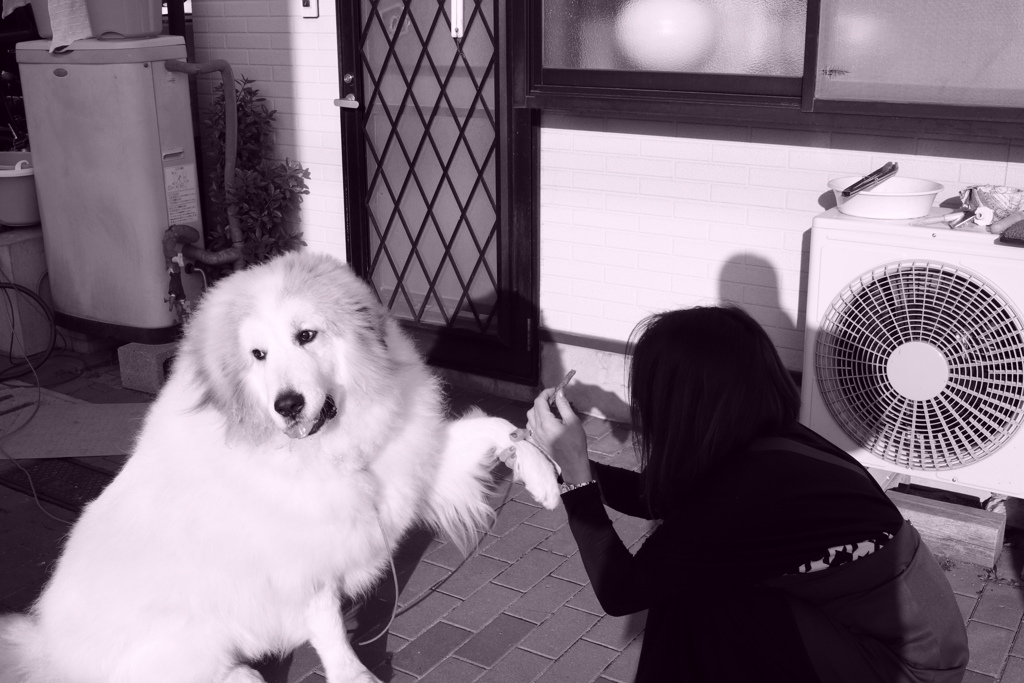 @2018-03-27  モノクロ