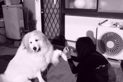 @2018-03-27  モノクロ