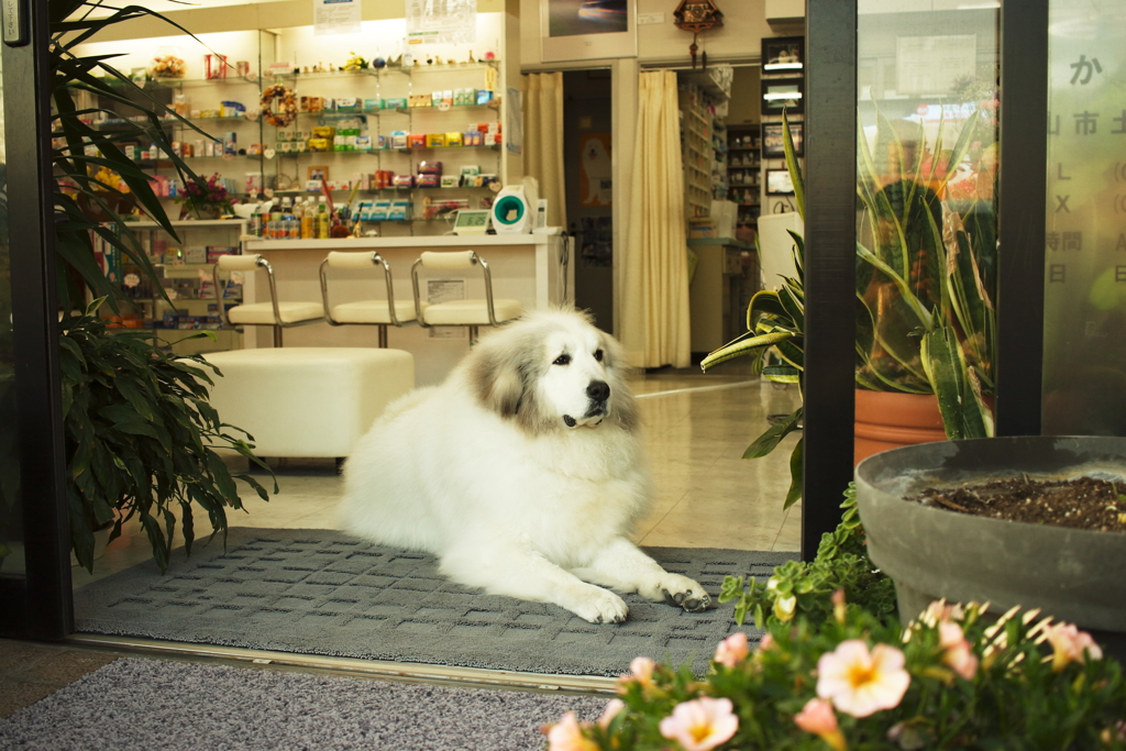 rawで写してるからカラーにもできる